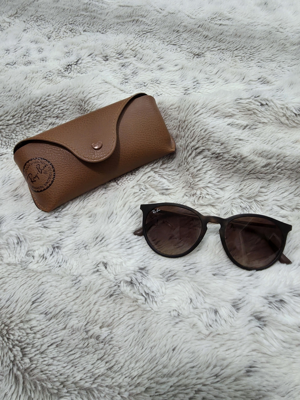 Ray-Ban Women's Erika Sunglasses with Case